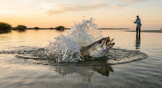 The First Topwater Explosion